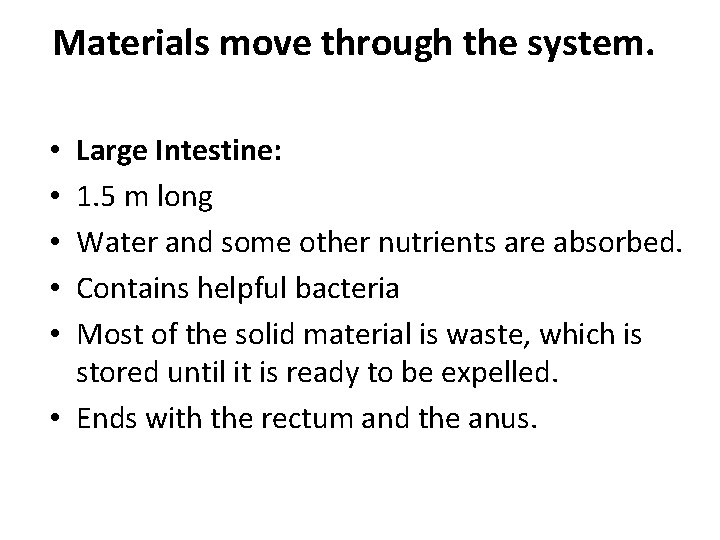 Materials move through the system. Large Intestine: 1. 5 m long Water and some Materials move through the system. Large Intestine: 1. 5 m long Water and some