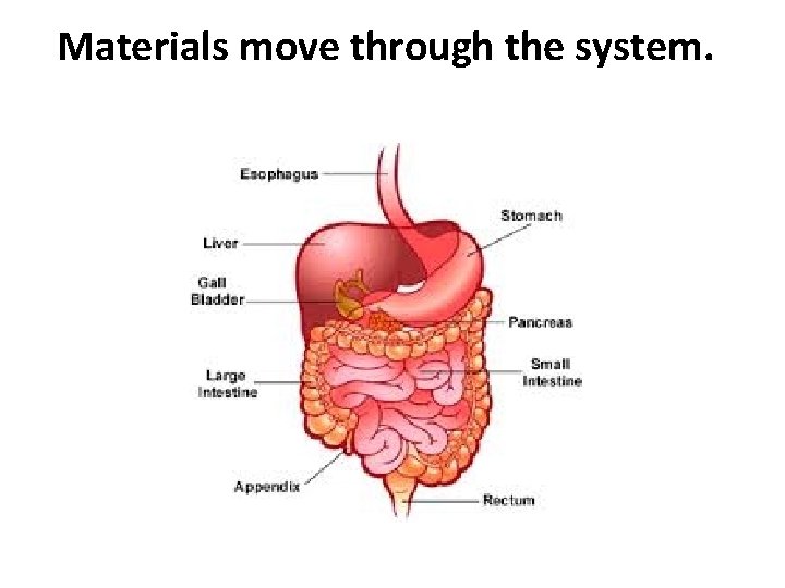 Materials move through the system. Materials move through the system.