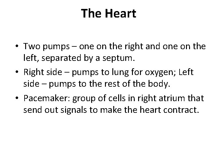 The Heart • Two pumps – one on the right and one on the The Heart • Two pumps – one on the right and one on the