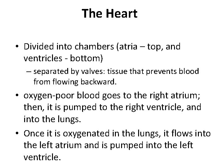 The Heart • Divided into chambers (atria – top, and ventricles - bottom) – The Heart • Divided into chambers (atria – top, and ventricles - bottom) –