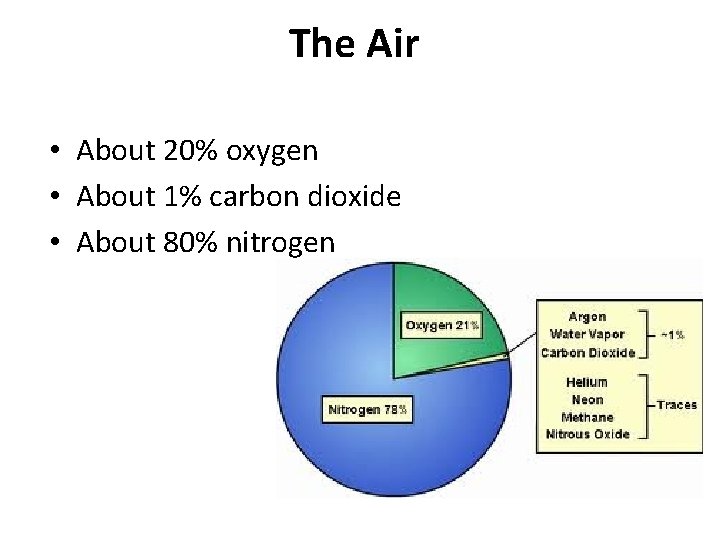 The Air • About 20% oxygen • About 1% carbon dioxide • About 80% The Air • About 20% oxygen • About 1% carbon dioxide • About 80%