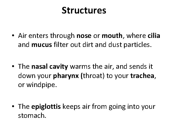 Structures • Air enters through nose or mouth, where cilia and mucus filter out Structures • Air enters through nose or mouth, where cilia and mucus filter out