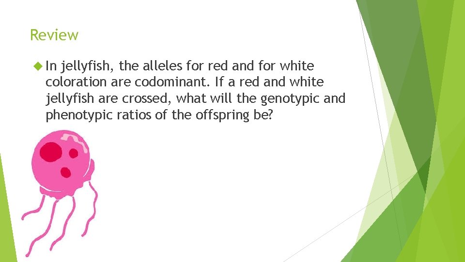 Review In jellyfish, the alleles for red and for white coloration are codominant. If