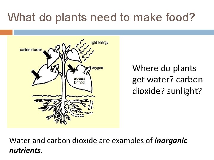 DAY 23 Biogeochemical Cycles THE GENERAL NUTRIENT CYCLE