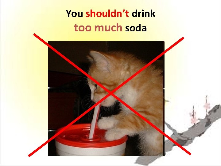 You shouldn’t drink too much soda 