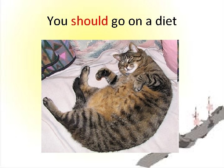 You should go on a diet 
