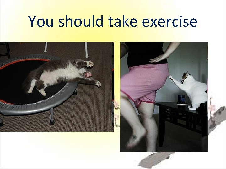 You should take exercise 