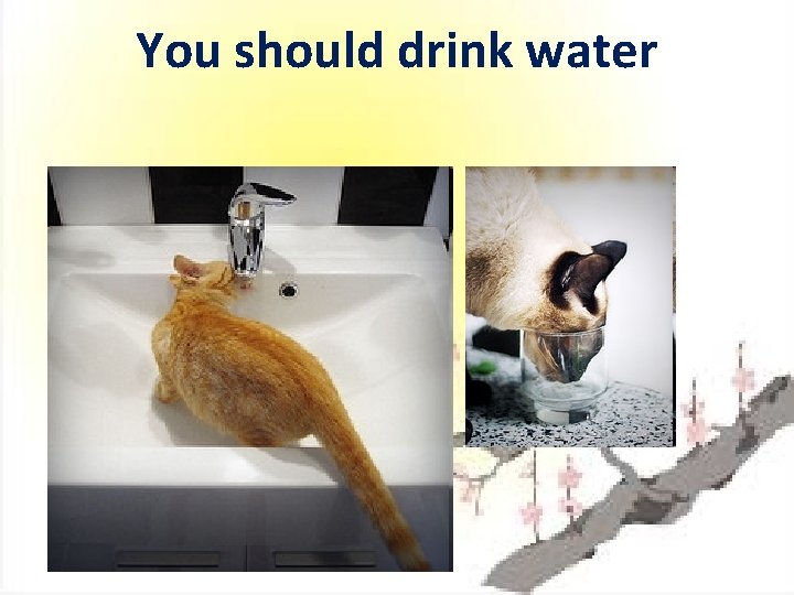 You should drink water 