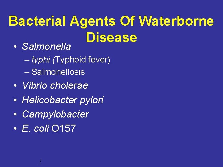Bacterial Agents Of Waterborne Disease • Salmonella – typhi (Typhoid fever) – Salmonellosis •