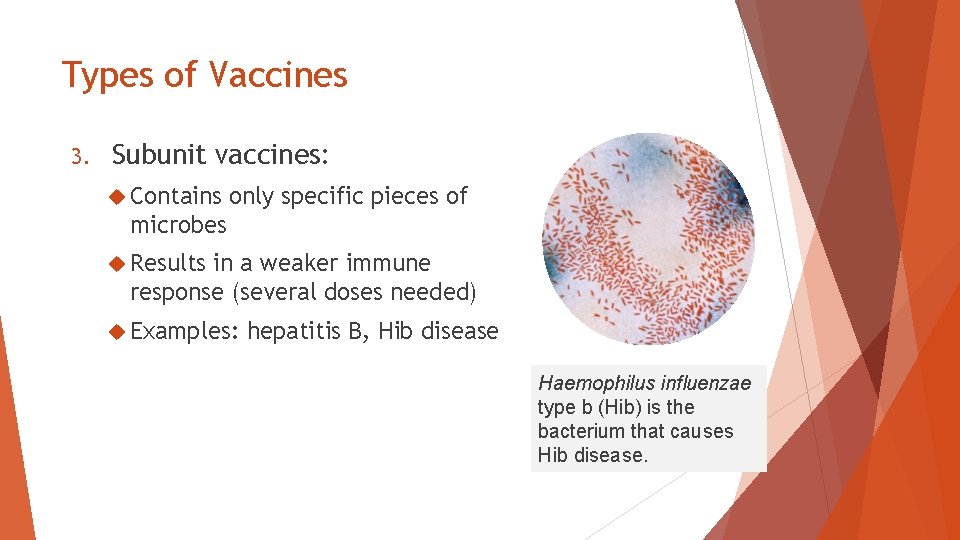 Types of Vaccines 3. Subunit vaccines: Contains only specific pieces of microbes Results in