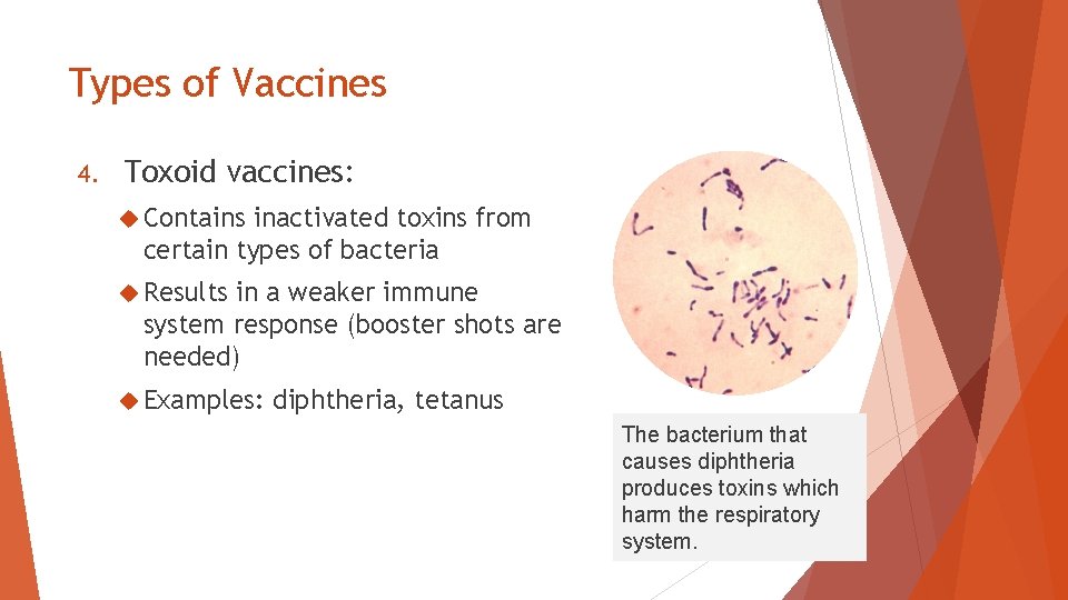 Types of Vaccines 4. Toxoid vaccines: Contains inactivated toxins from certain types of bacteria