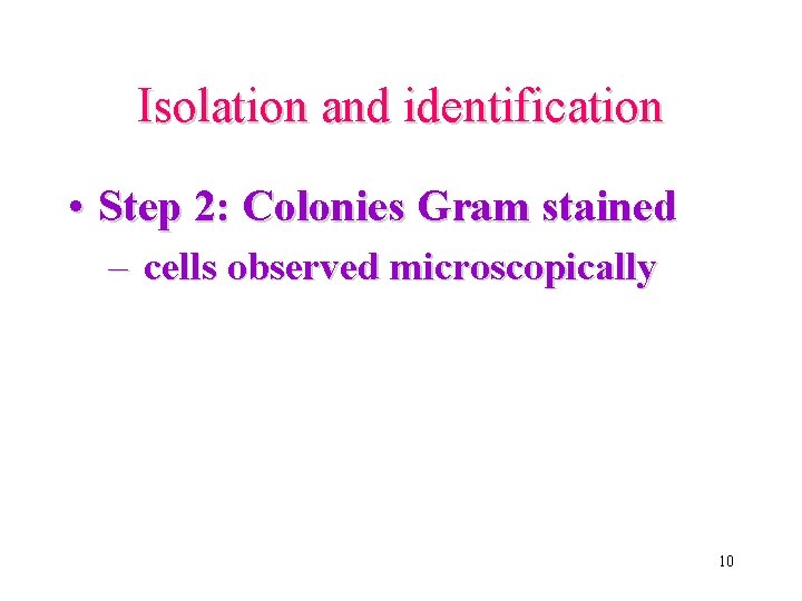 Isolation and identification • Step 2: Colonies Gram stained – cells observed microscopically 10