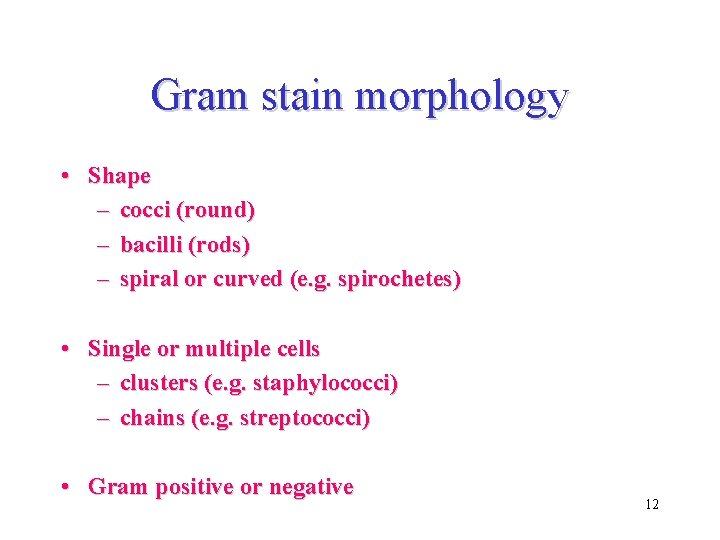 Gram stain morphology • Shape – cocci (round) – bacilli (rods) – spiral or