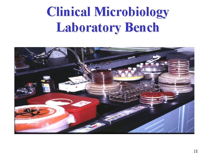 Clinical Microbiology Laboratory Bench 18 
