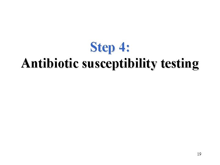 Step 4: Antibiotic susceptibility testing 19 