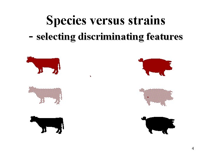 Species versus strains - selecting discriminating features 4 