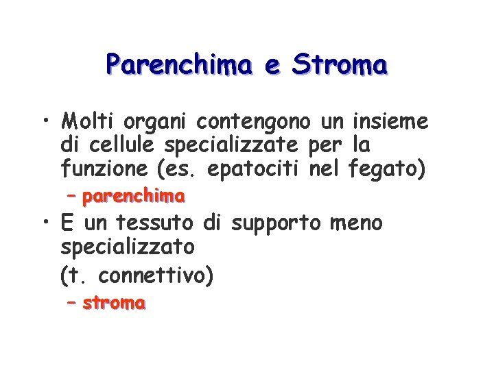 Parenchima e Stroma • Molti organi contengono un insieme di cellule specializzate per la