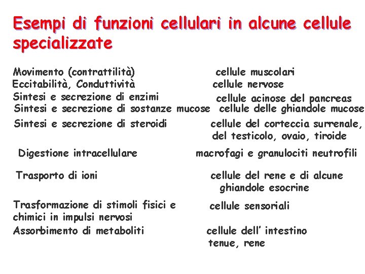 Esempi di funzioni cellulari in alcune cellule specializzate Movimento (contrattilità) cellule muscolari Eccitabilità, Conduttività