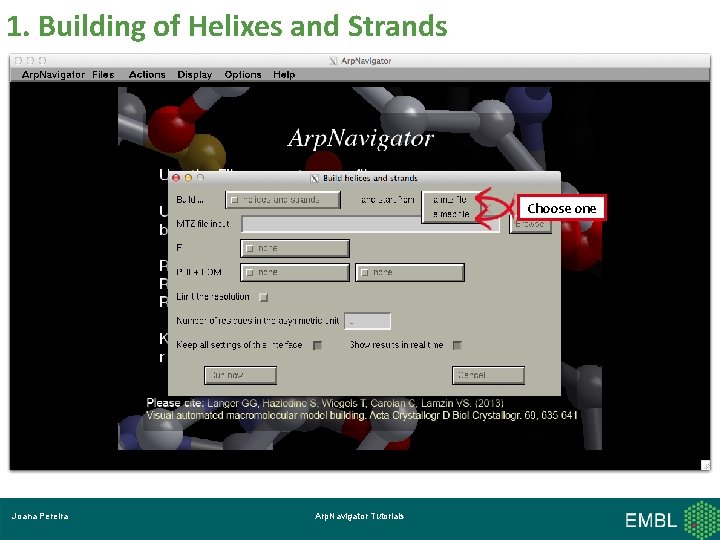 1. Building of Helixes and Strands Choose one Joana Pereira Arp. Navigator Tutorials 