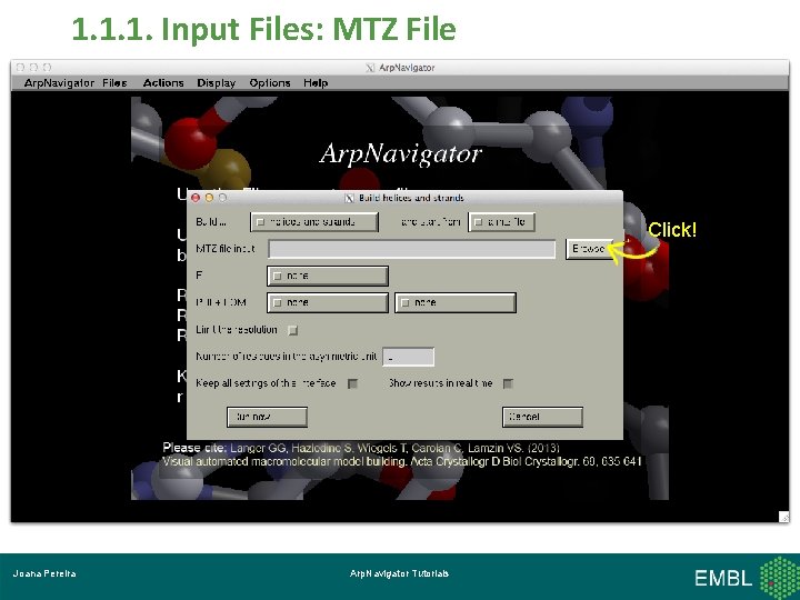 1. 1. 1. Input Files: MTZ File Click! Joana Pereira Arp. Navigator Tutorials 