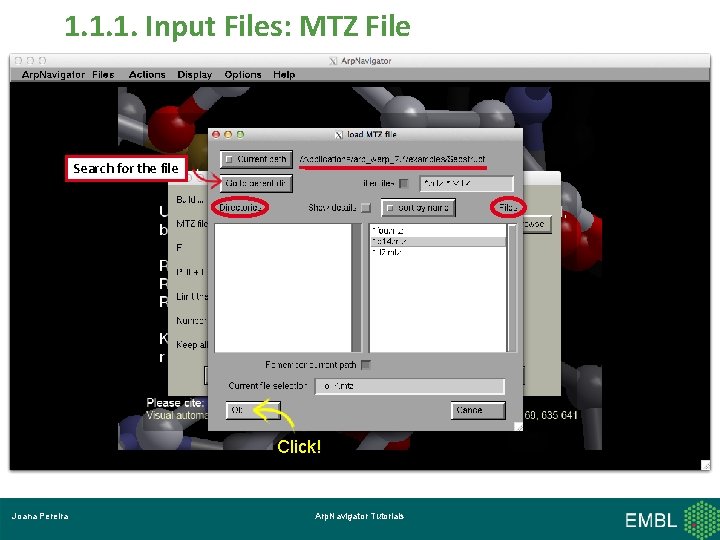1. 1. 1. Input Files: MTZ File Search for the file Click! Joana Pereira