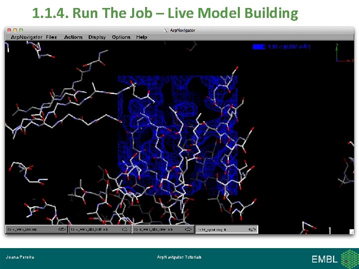 1. 1. 4. Run The Job – Live Model Building Joana Pereira Arp. Navigator