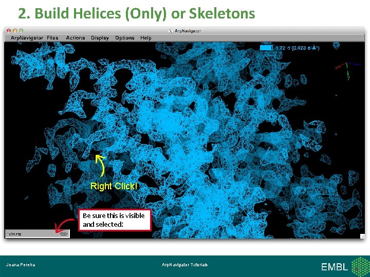 2. Build Helices (Only) or Skeletons Right Click! Be sure this is visible and