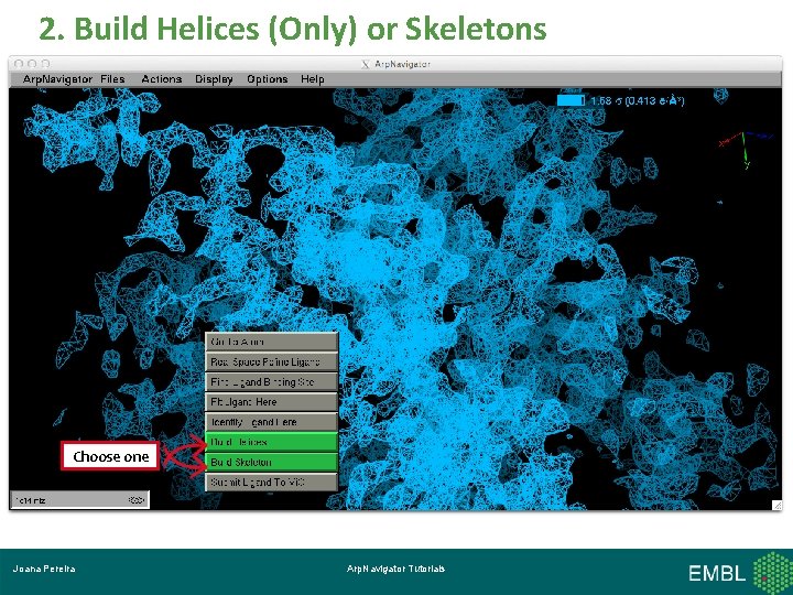2. Build Helices (Only) or Skeletons Choose one Joana Pereira Arp. Navigator Tutorials 