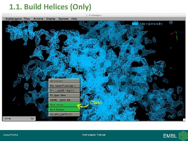 1. 1. Build Helices (Only) Click! Joana Pereira Arp. Navigator Tutorials 