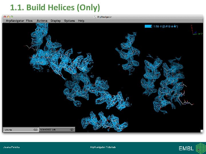 1. 1. Build Helices (Only) Click! Joana Pereira Arp. Navigator Tutorials 