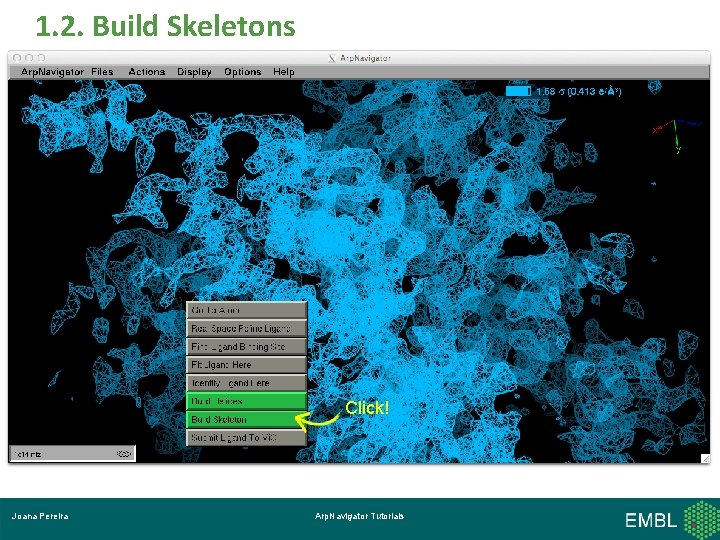 1. 2. Build Skeletons Click! Joana Pereira Arp. Navigator Tutorials 