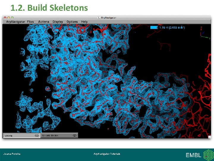 1. 2. Build Skeletons Click! Joana Pereira Arp. Navigator Tutorials 