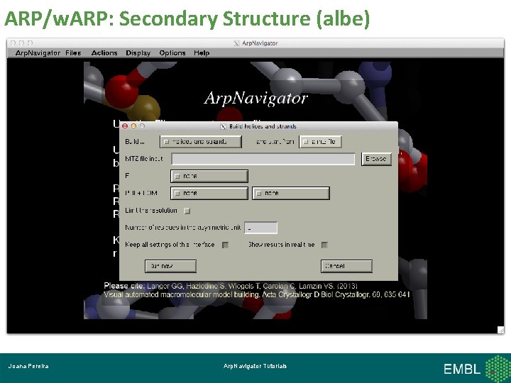 ARP/w. ARP: Secondary Structure (albe) Joana Pereira Arp. Navigator Tutorials 