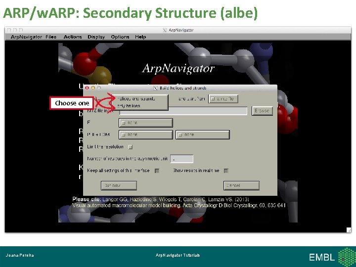 ARP/w. ARP: Secondary Structure (albe) Choose one Joana Pereira Arp. Navigator Tutorials 