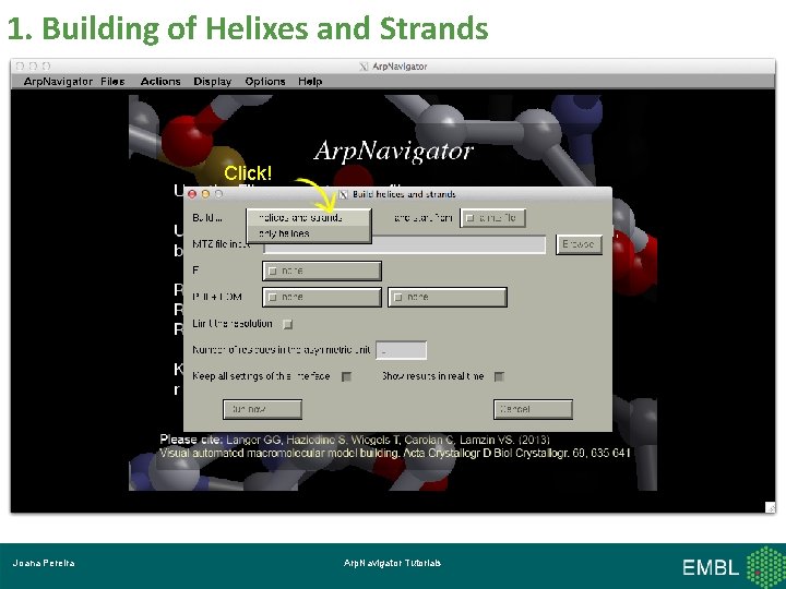 1. Building of Helixes and Strands Click! Joana Pereira Arp. Navigator Tutorials 