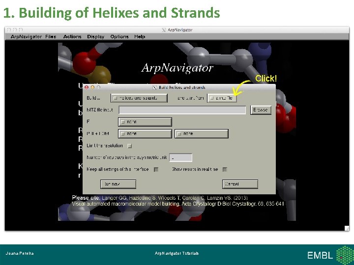 1. Building of Helixes and Strands Click! Joana Pereira Arp. Navigator Tutorials 
