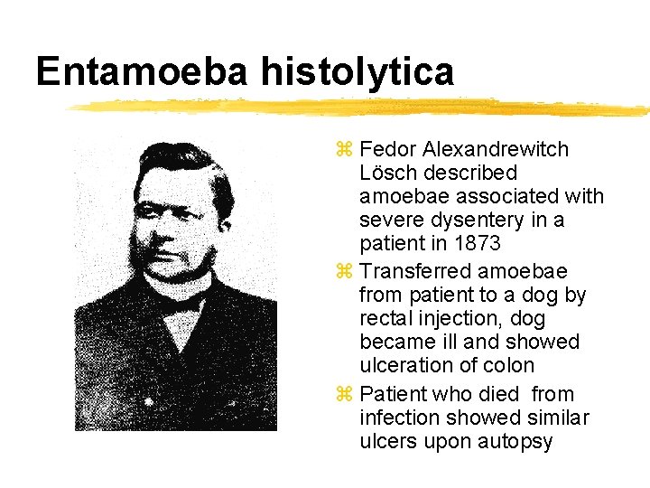 Entamoeba histolytica z Fedor Alexandrewitch Lösch described amoebae associated with severe dysentery in a