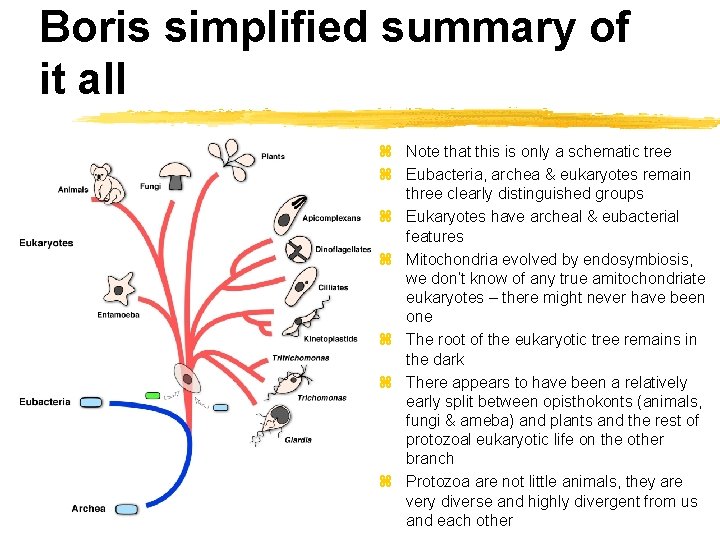 Boris simplified summary of it all z Note that this is only a schematic