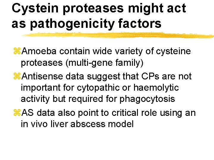 Cystein proteases might act as pathogenicity factors z. Amoeba contain wide variety of cysteine
