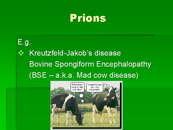 Prions E. g. v Kreutzfeld-Jakob’s disease Bovine Spongiform Encephalopathy (BSE – a. k. a.