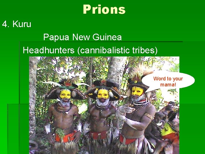 Prions 4. Kuru Papua New Guinea Headhunters (cannibalistic tribes) Word to your mama! 