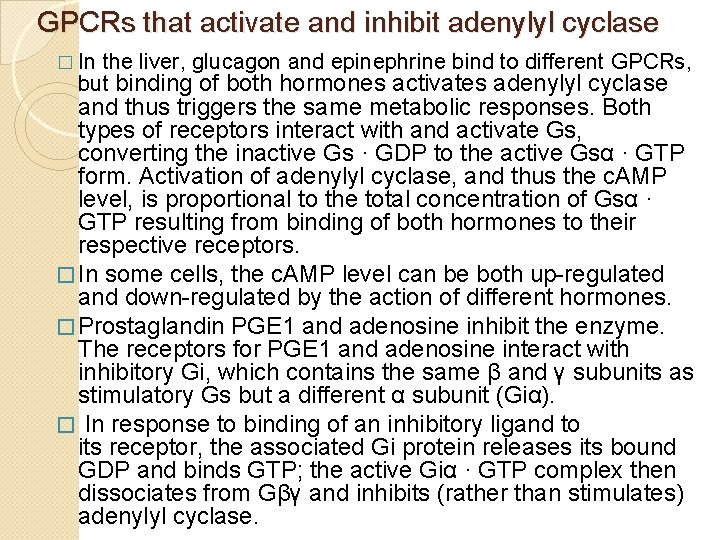 GPCRs that activate and inhibit adenylyl cyclase � In the liver, glucagon and epinephrine