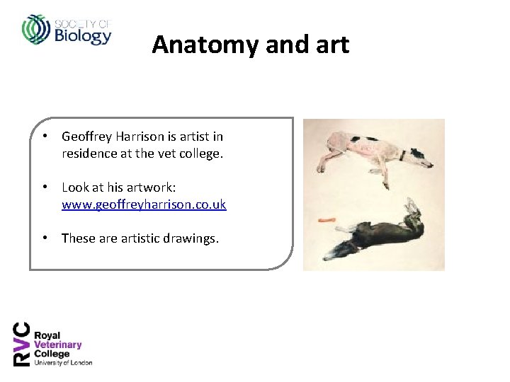 Anatomy and art • Geoffrey Harrison is artist in residence at the vet college.