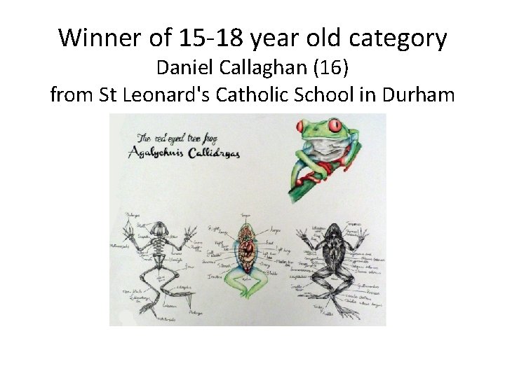 Winner of 15 -18 year old category Daniel Callaghan (16) from St Leonard's Catholic