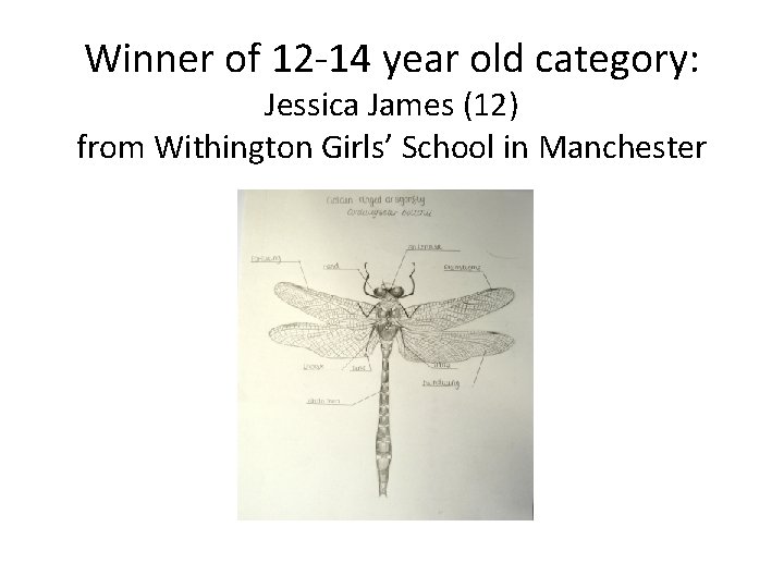 Winner of 12 -14 year old category: Jessica James (12) from Withington Girls’ School