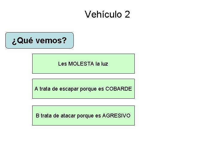 Vehículo 2 ¿Qué vemos? Les MOLESTA la luz A trata de escapar porque es