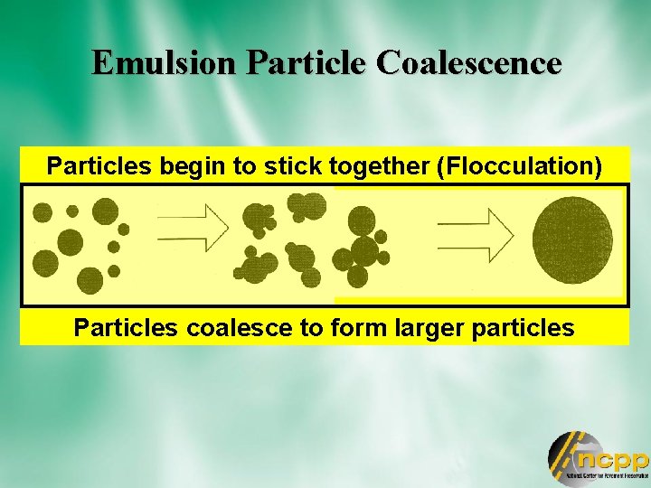 Emulsion Particle Coalescence Particles begin to stick together (Flocculation) Particles coalesce to form larger