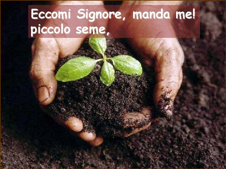 Eccomi piccolo Signore, manda me! seme, 