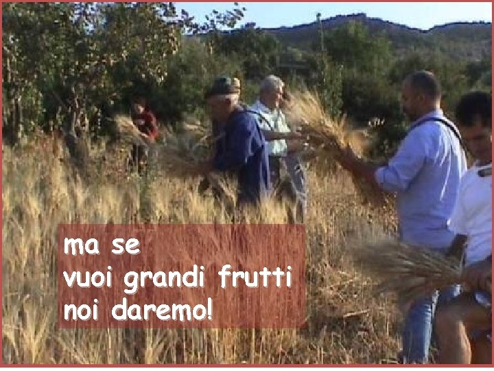 ma se vuoi grandi frutti noi daremo! 