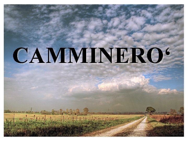 CAMMINERO‘ 